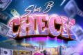 Check è il nuovo singolo di Sher B